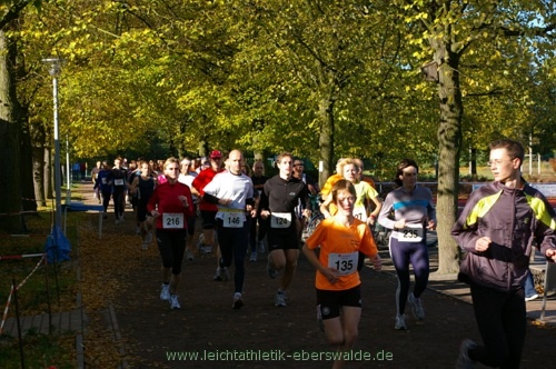 Zainhammerlauf