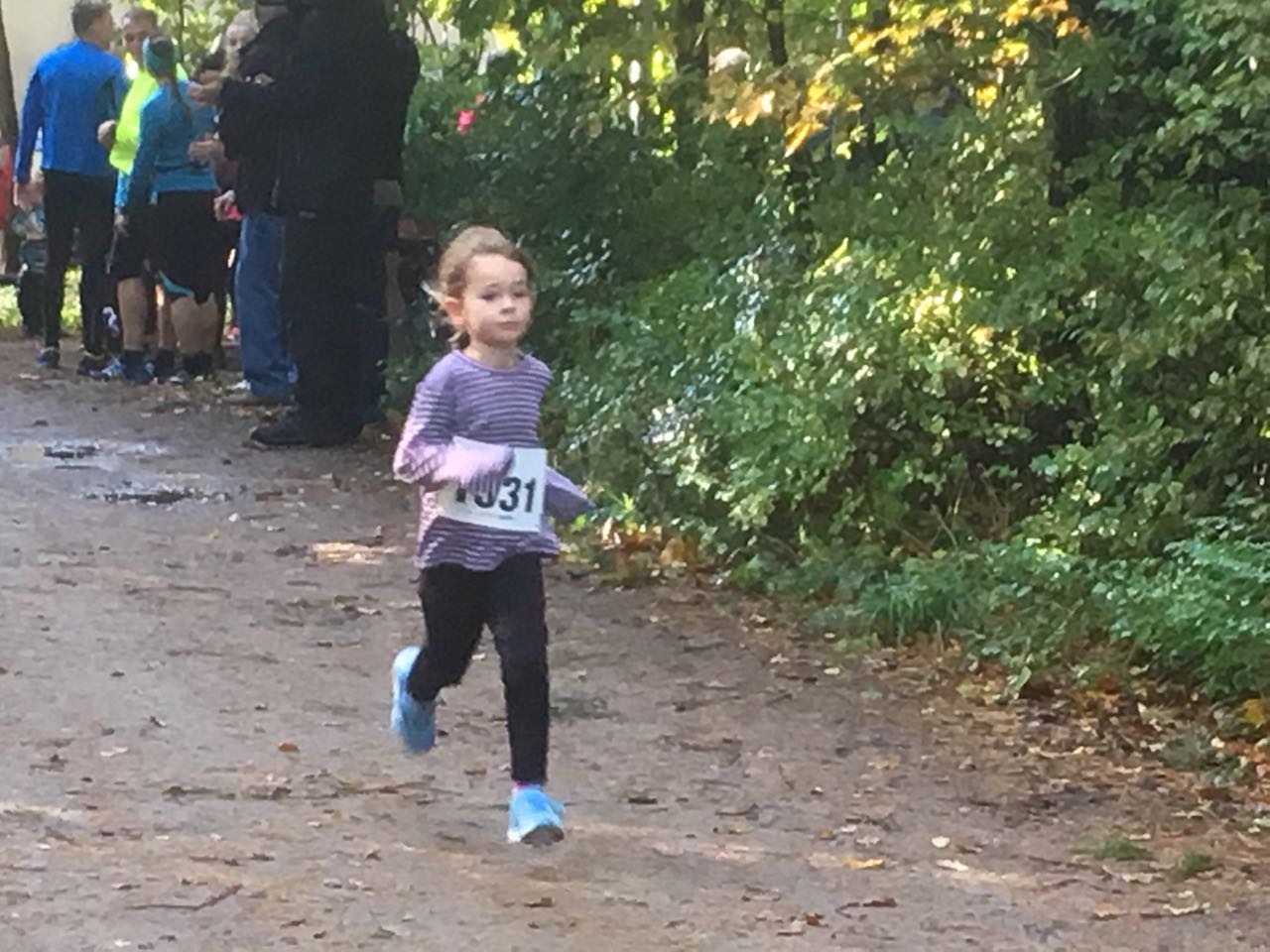 Zainhammerlauf 2017