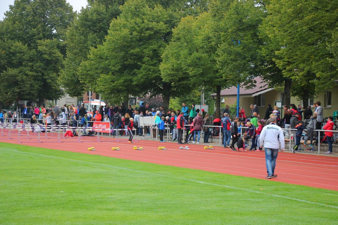 Landesmeisterschaften Team U14 & U12