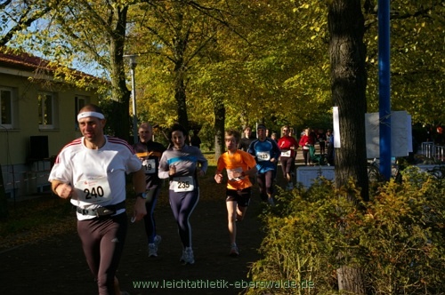 Zainhammerlauf