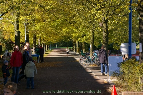 Zainhammerlauf