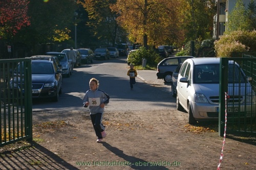 Zainhammerlauf