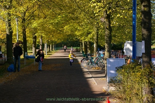 Zainhammerlauf
