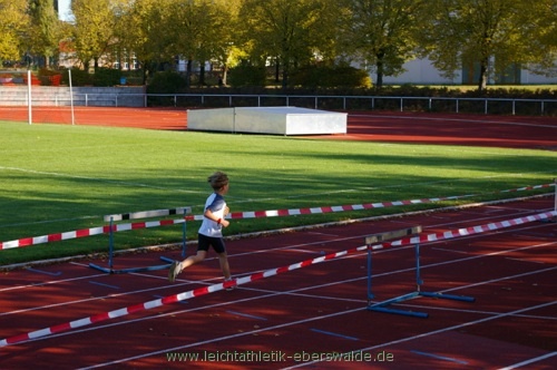 Zainhammerlauf