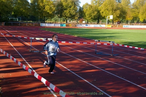 Zainhammerlauf