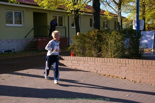 Zainhammerlauf