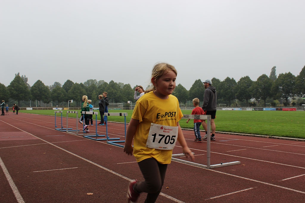 Zainhammerlauf
