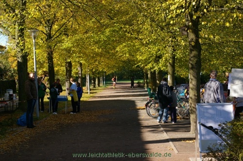Zainhammerlauf