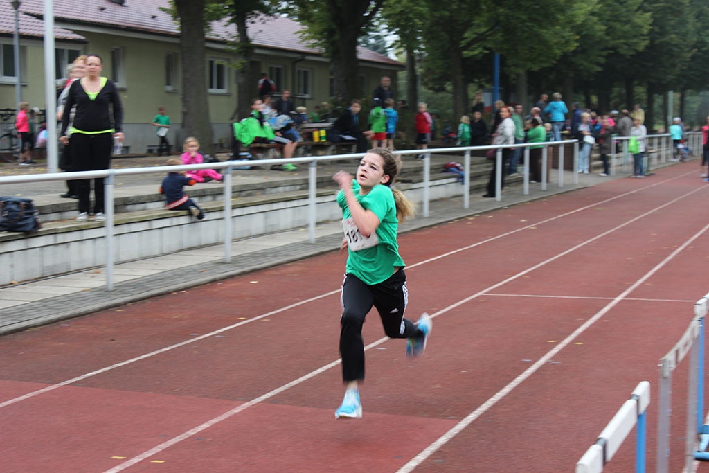 Zainhammerlauf