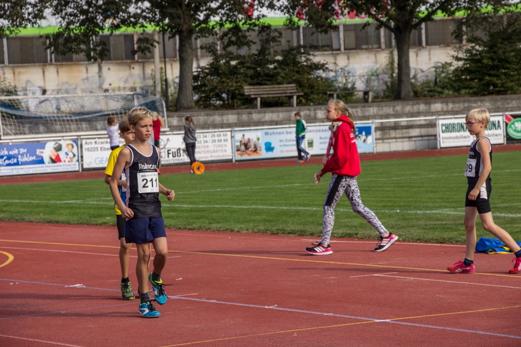 Landesmeisterschaften Team U14 & U12