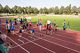 Landesmeisterschaften Team U14 & U12