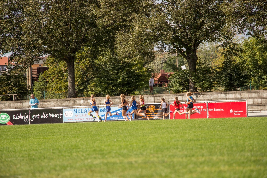 Landesmeisterschaften Team U14 & U12