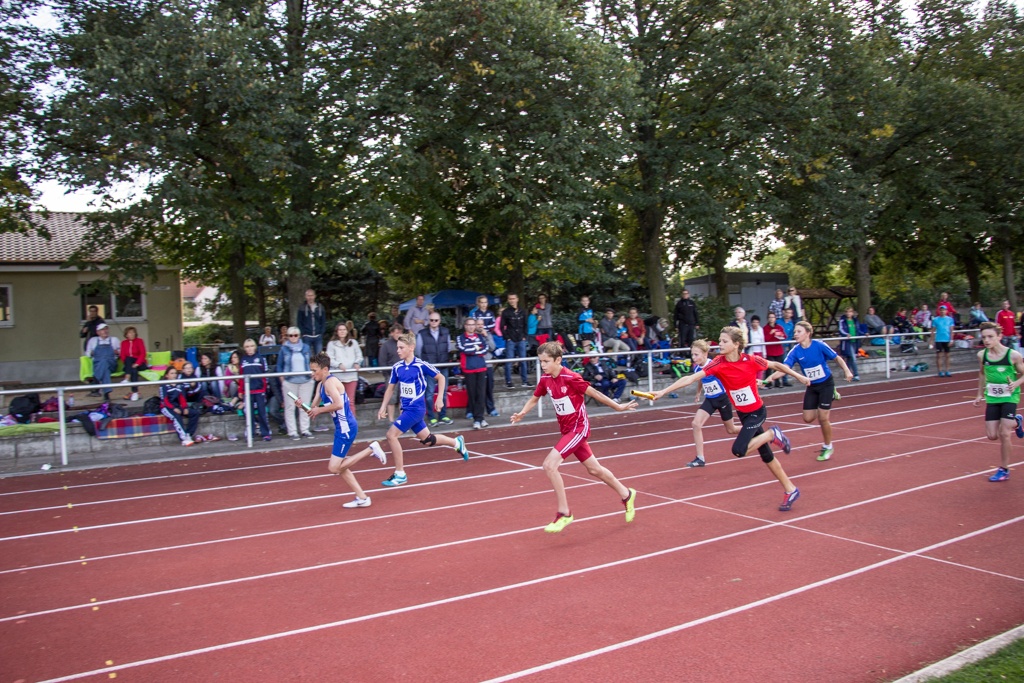 Landesmeisterschaften Team U14 & U12