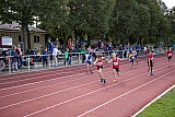 Landesmeisterschaften Team U14 & U12
